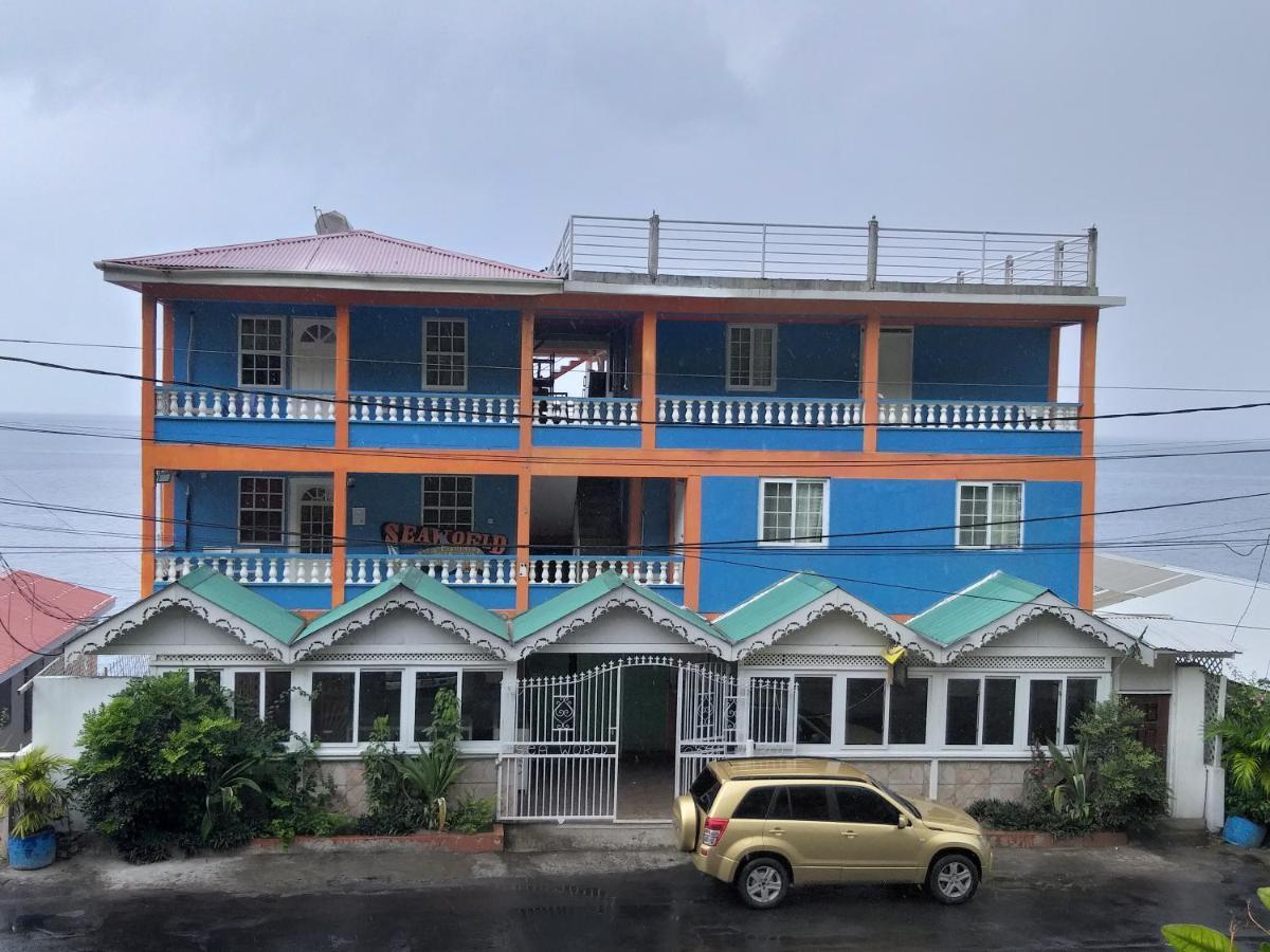 Sea World Vacation Home Roseau Kültér fotó