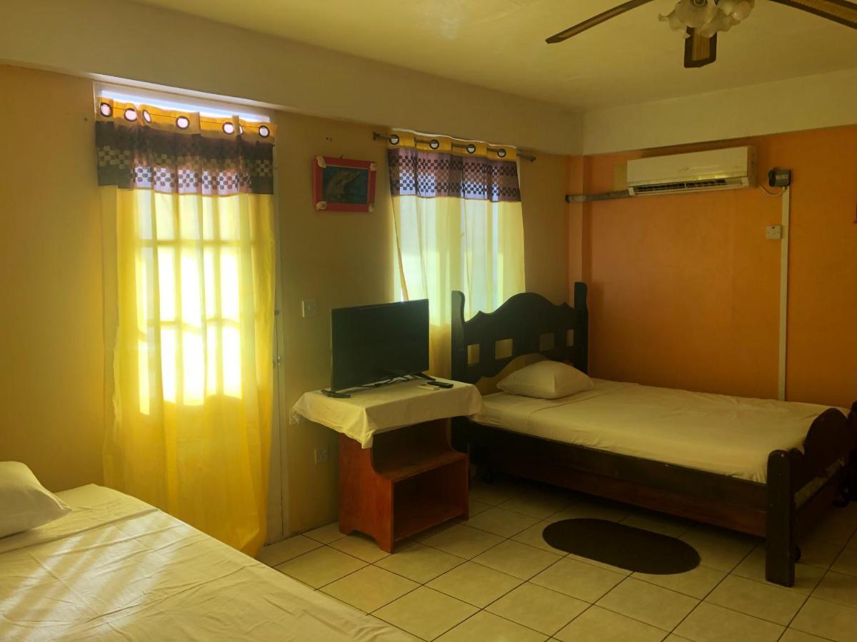 Sea World Vacation Home Roseau Kültér fotó